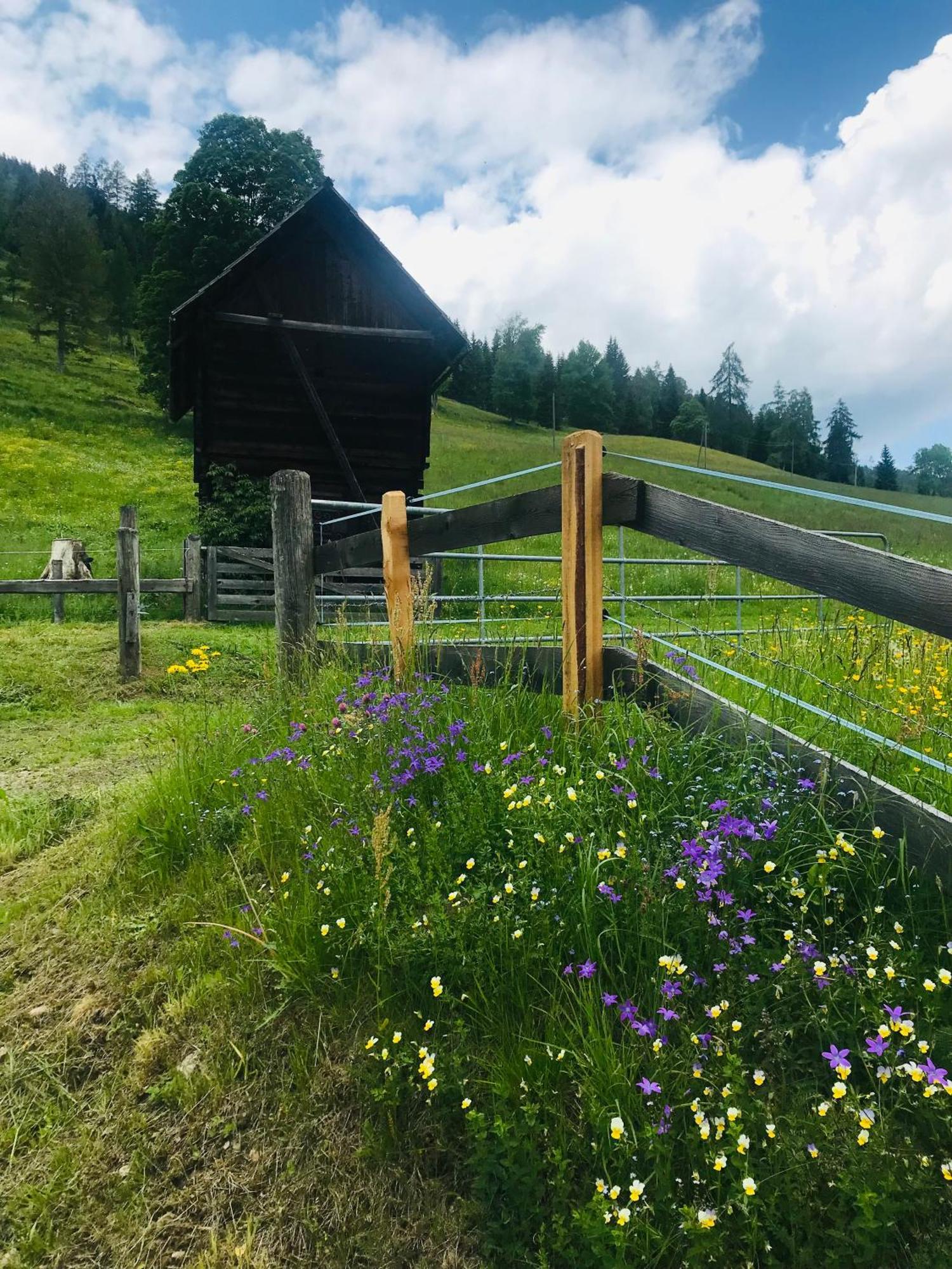 Wohlfuehl-Appartement Kreischberg Inclusive Murau Sommergaestecard Sankt Georgen ob Murau Exterior photo